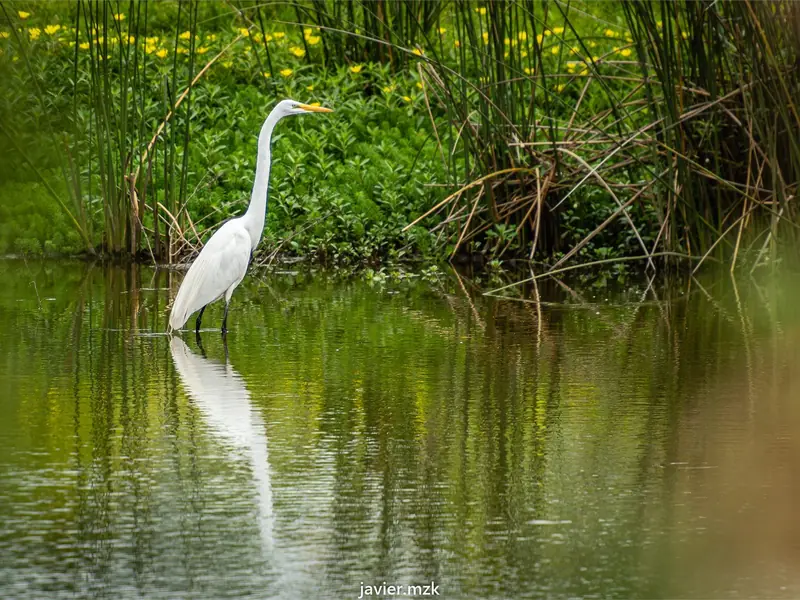 Reserva Aguada de los Pájaros