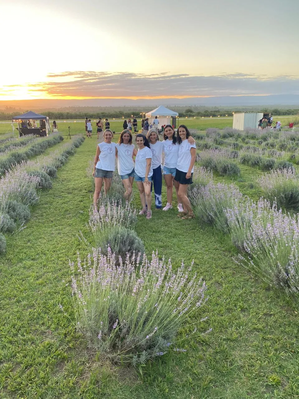 Integrantes de Casa Violeta entre las plantas de lavanda