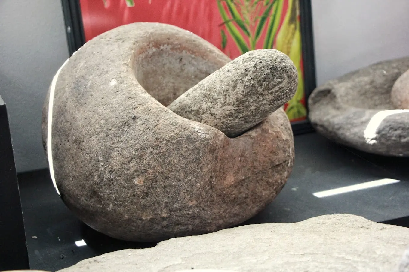 Mortero de piedra de la colección arqueológica del museo